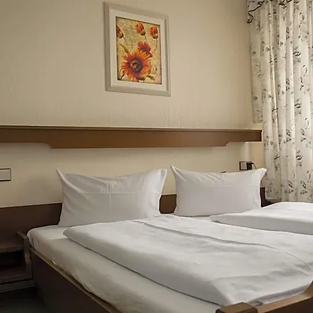 Rheingraf Otel 3*